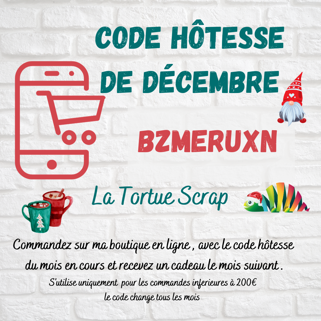 insta code hotesse janvier