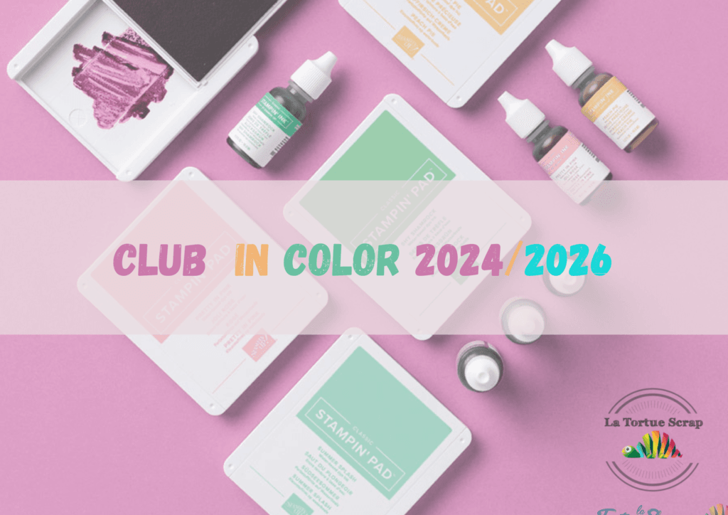 Nouveau club in Color 2024/2026 - La Tortue Scrap